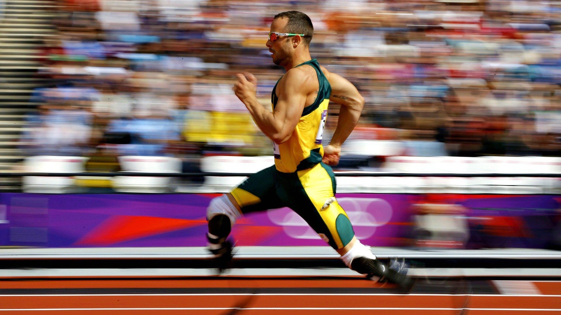 体育新闻中心构建体育项目数字化分级管理平台，体育数字化建设